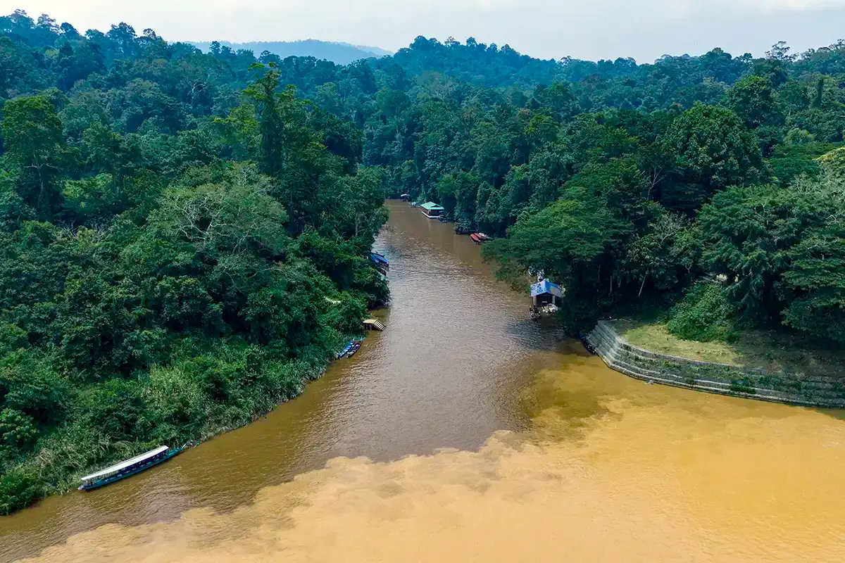 Taman Negara rainforest and river landscape in Pahang