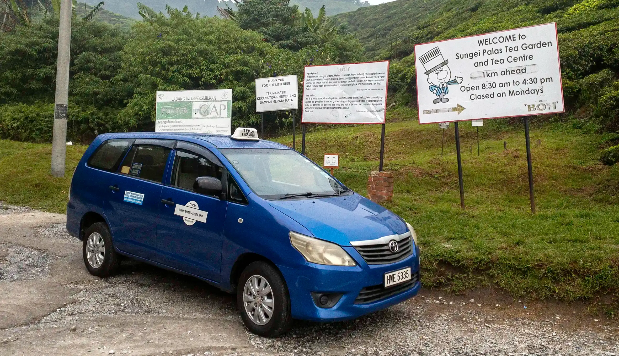 My Little Taxi Toyota Innova during a private day trip at Sungai Palas Tea Garden in Cameron Highlands
