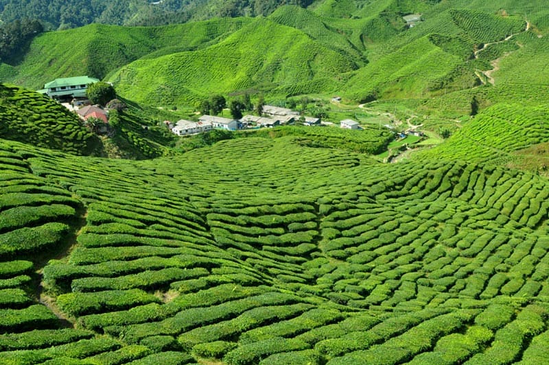 places to visit in Malaysia