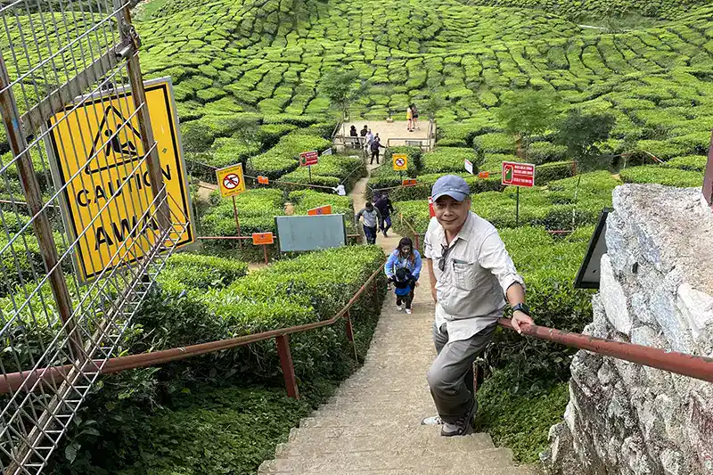 Mr. Anuar, a friendly My Little Taxi driver, waiting for passengers at Cameron Valley Tea Plantation during a private transfer from Kuala Lumpur to Cameron Highlands.